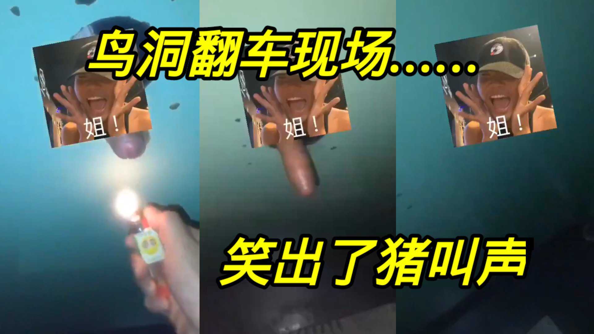鸟洞翻车现场……笑出了猪叫声，哈哈