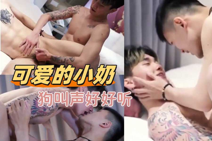 可爱的小奶狗叫声好好听
