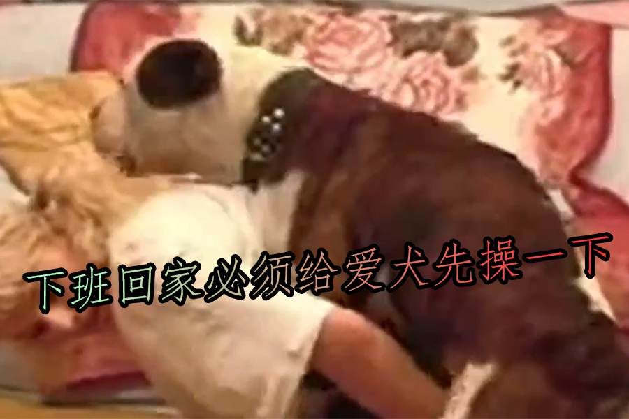 【人兽】下班回家必须给爱犬先操一下