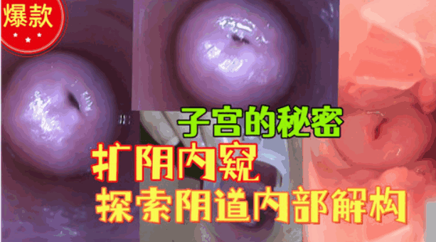 子宫的秘密，扩阴内窥，探索阴道内部结构